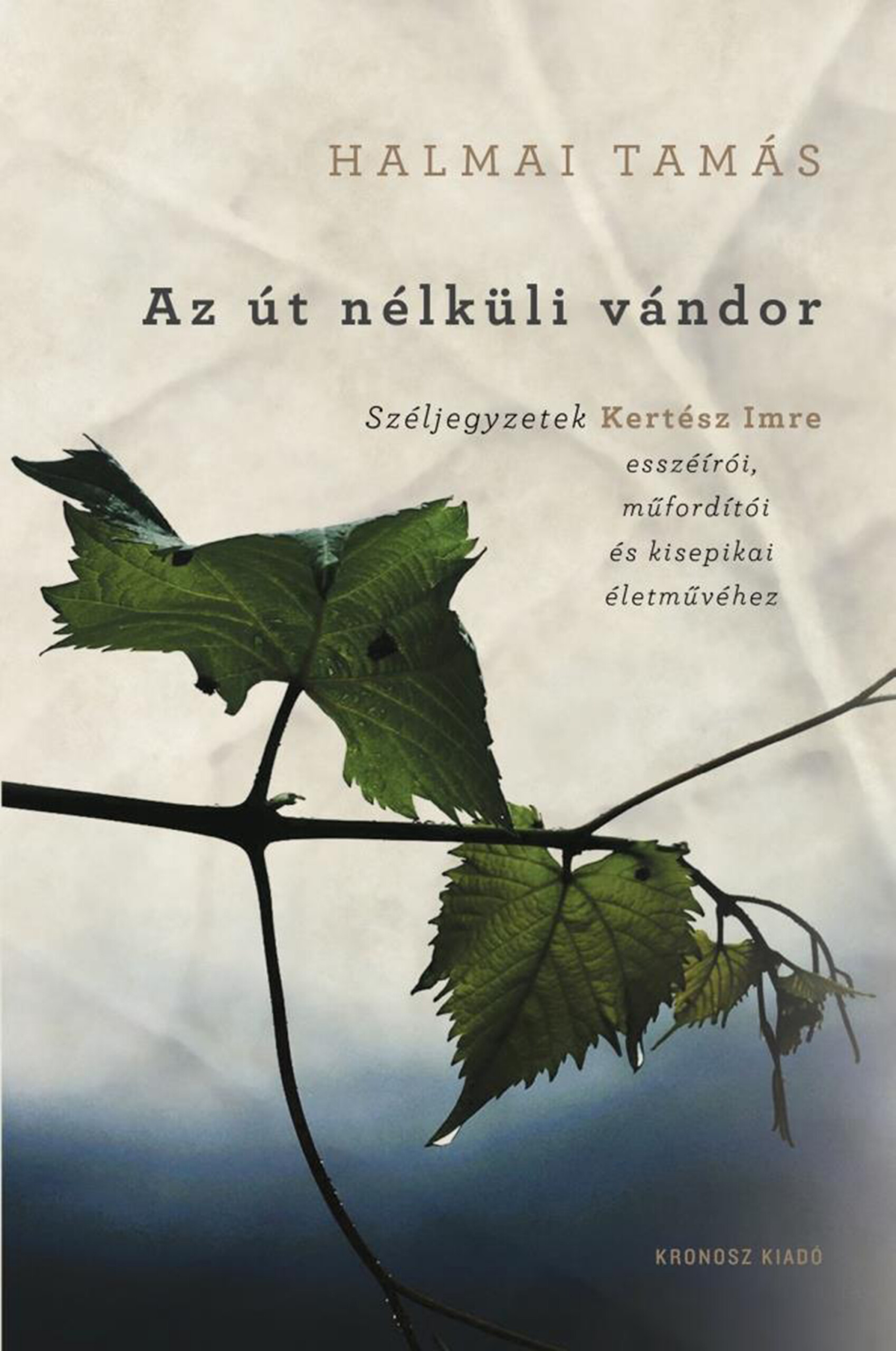 Az Út Nélküli Vándor