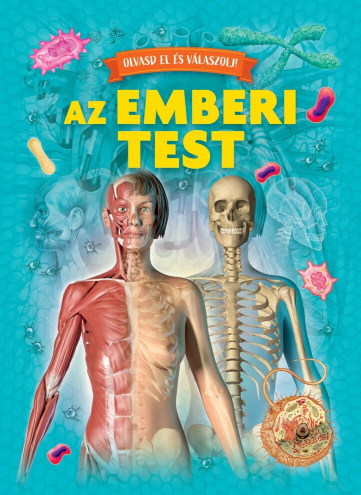Az Emberi Test - Olvasd El És Válaszolj! (Könyv És Kvízkártyák Fémdobozban)