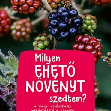 Milyen Ehető Növényt Szedtem? - Természetkalaúz Gyerekeknek