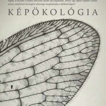 Képökológia