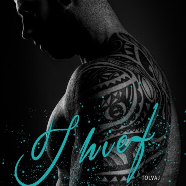 Thief- Tolvaj - Boston Alvilág 5