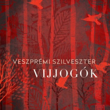 Vijjogók
