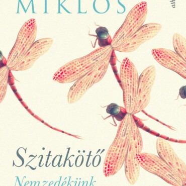 Szitakötő - Nemzedékünk Regénye