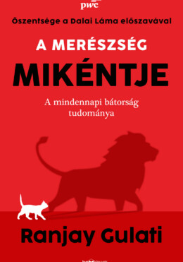 A Merészség Mikéntje - A Mindennapi Bátorság Tudománya