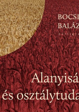 Alanyiság És Osztálytudat