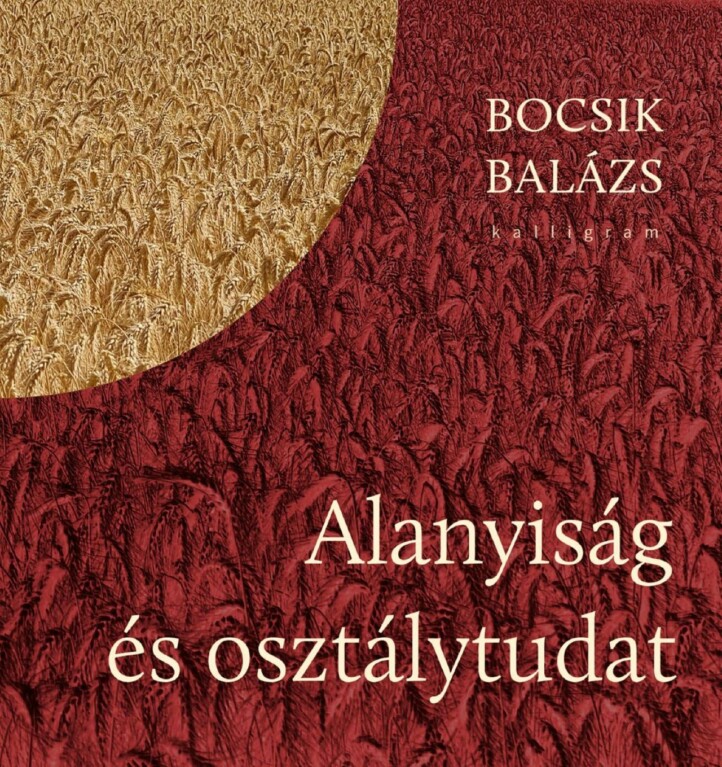 Alanyiság És Osztálytudat