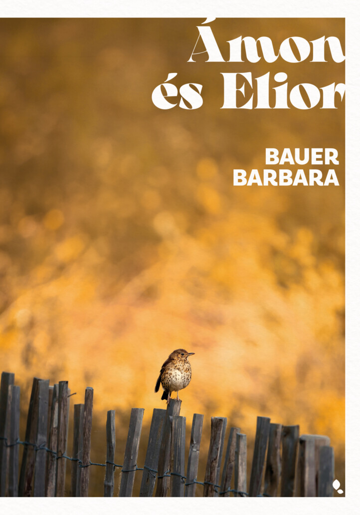 Ámon És Elior - Élfestett