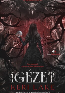 Igézet - Az Elemésztő Erdő 2. (Élfestett)