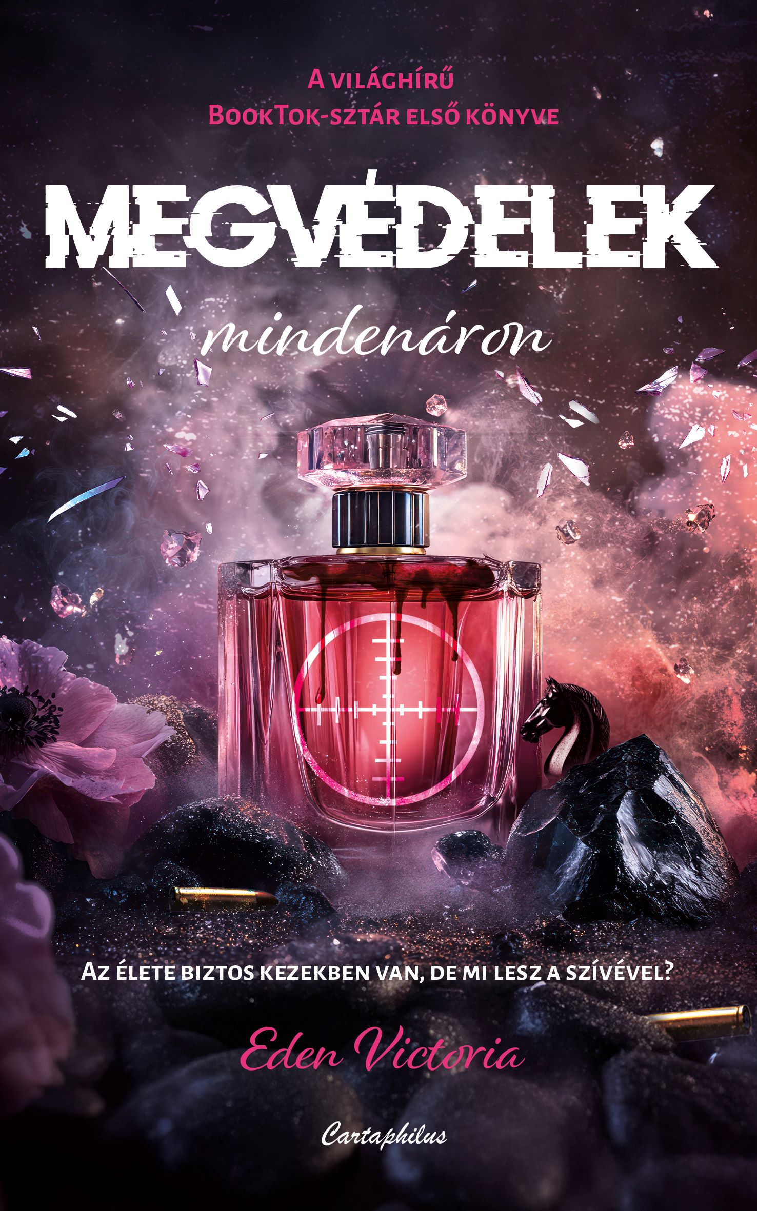 Megvédelek Mindenáron