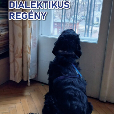 Dialektikus Regény