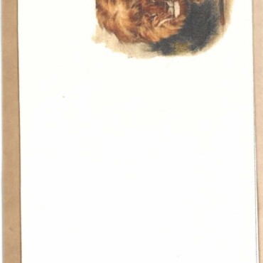 Könyvjelző - Oroszlán
