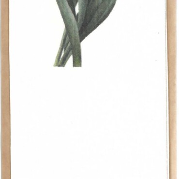 Könyvjelző - Tulipáncsokor