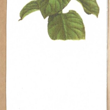Könyvjelző - Napraforgó