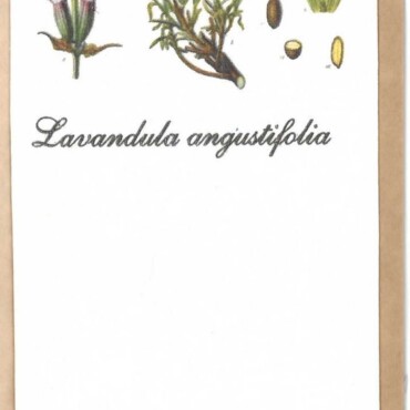 Könyvjelző - Levendula