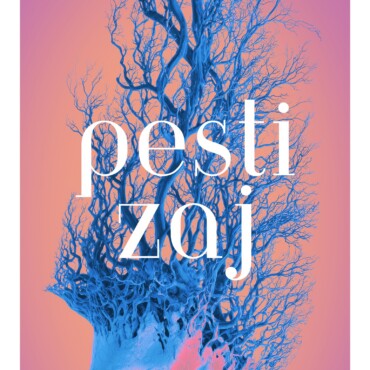 Pesti Zaj