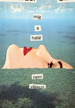Míg A Halál Nem Választ