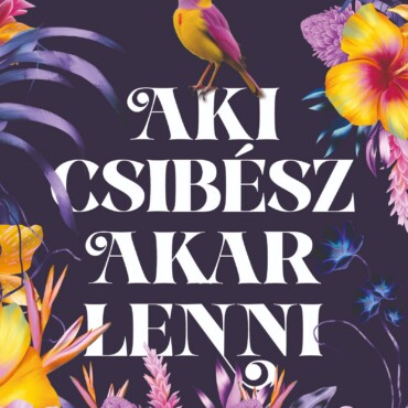 Aki Csibész Akar Lenni