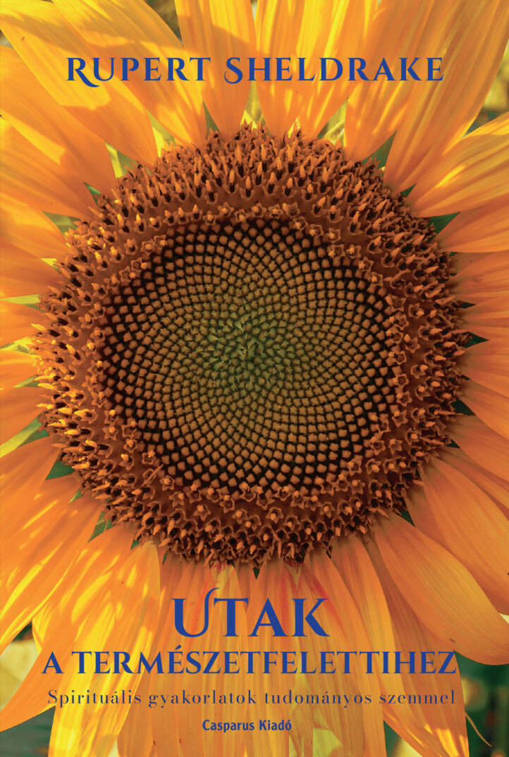 Utak A Természetfelettihez - Spirituális Gyakorlatok Tudományos Szemmel