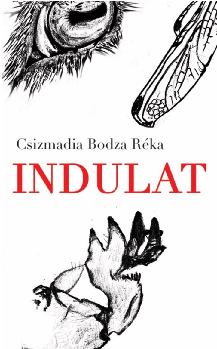 Indulat