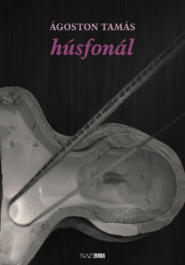 Húsfonál
