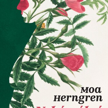 Nehézsúlyú Szépség