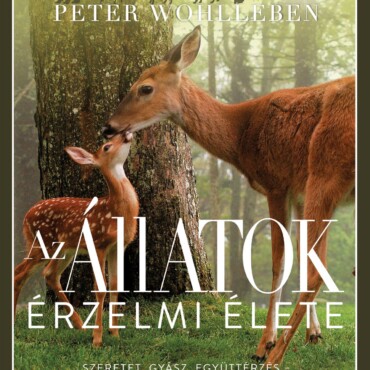 Az Állatok Érzelmi Élete