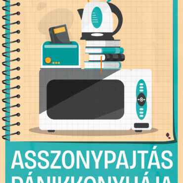 Asszonypajtás Pánikkonyhája - Konyhai Túlélőtanfolyam Kolisoknak ..