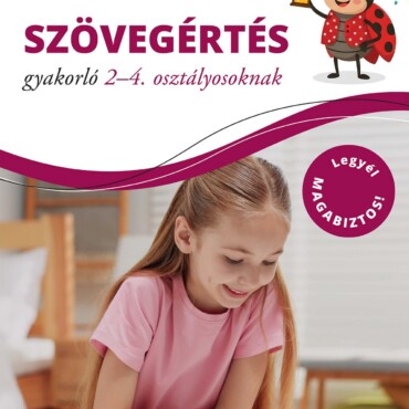Szövegértés Gyakorló 2-4. Osztályosoknak - Piros Pötty Füzetek