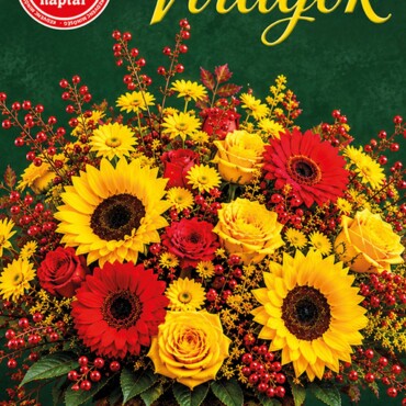 Kedvenc Naptár 2027 Virágok