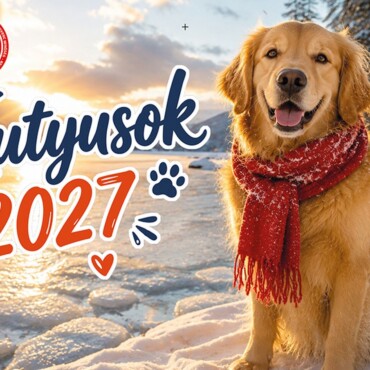 Kedvenc Naptár 2027 Kutyusok