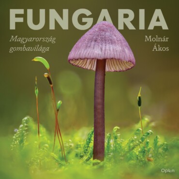 Fungaria - Magyarország Gombavilága