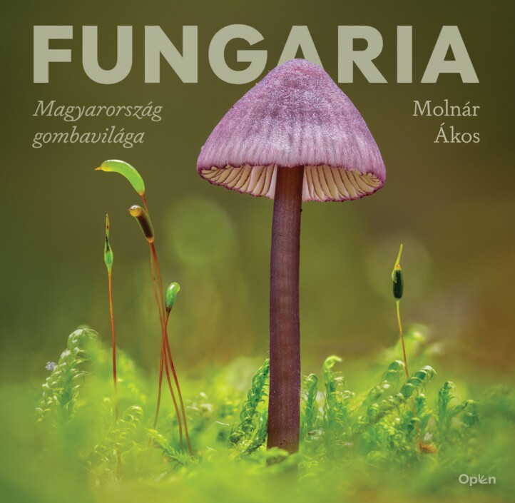 Fungaria - Magyarország Gombavilága
