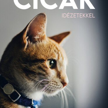 Cicák Idézetekkel - Naptár 2027