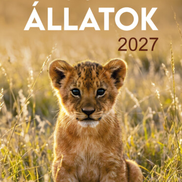Cuki Állatok - Naptár 2027