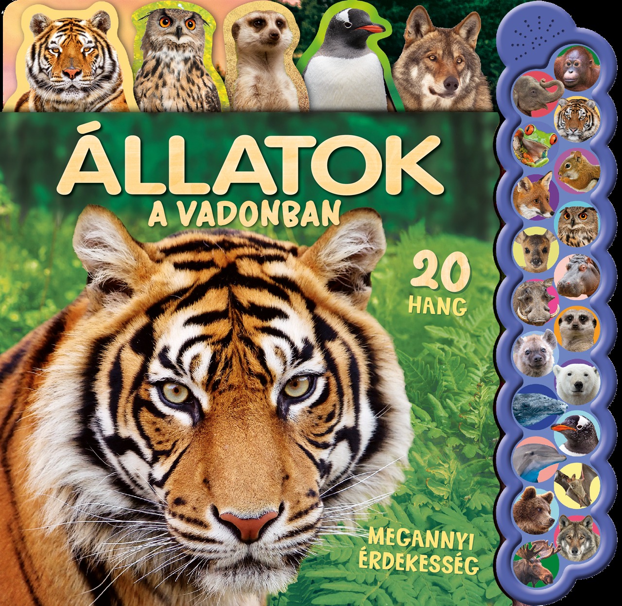 Állatok A Vadonban - 20 Hang, Megannyi Érdekesség