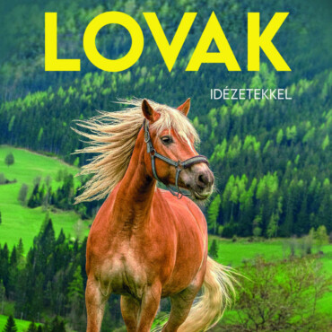 Lovak Idézetekkel - Naptár 2027
