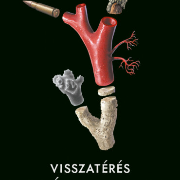Visszatérés Az Északi Partra