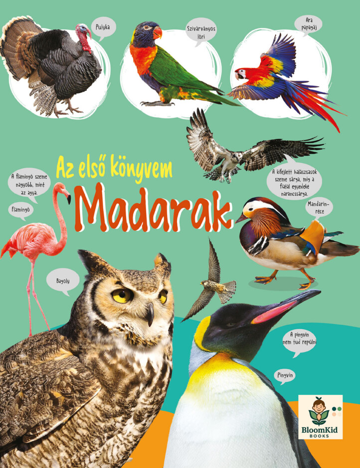 Első Könyvem -  Madarak