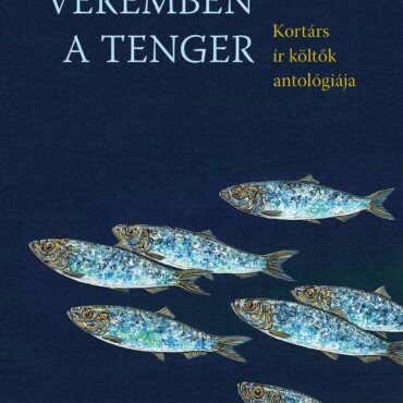 Véremben A Tenger - Kortárs Ír Költők Antalógiája