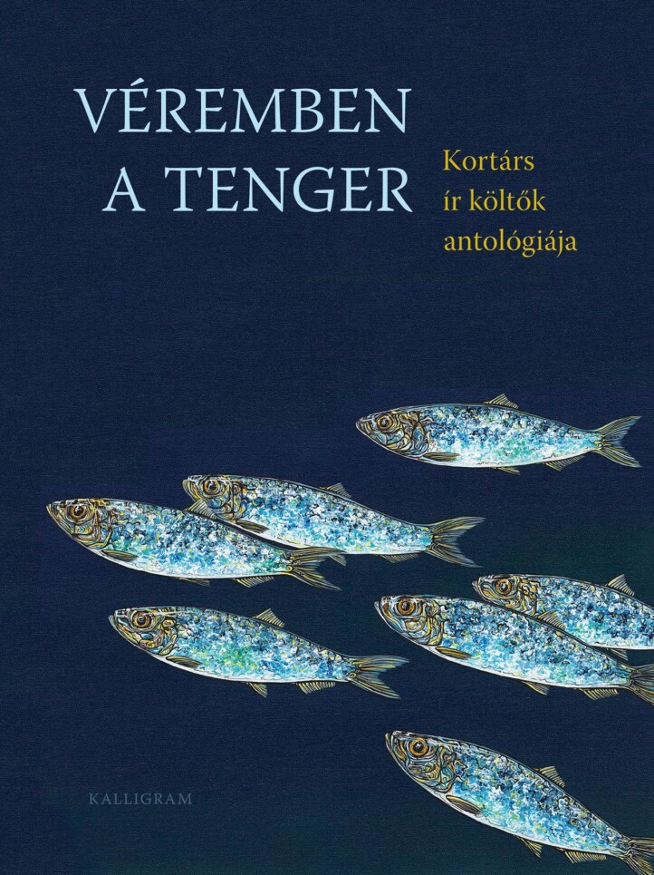 Véremben A Tenger - Kortárs Ír Költők Antalógiája