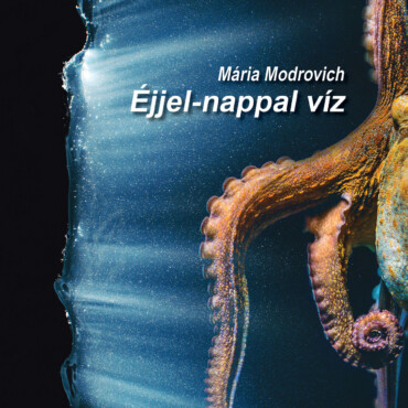 Éjjel-Nappal Víz