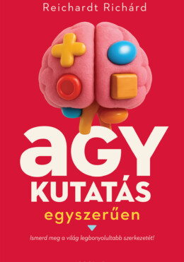 Agykutatás Egyszerűen
