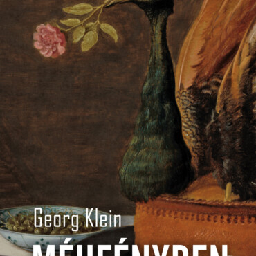 Méhfényben - Elbeszélések