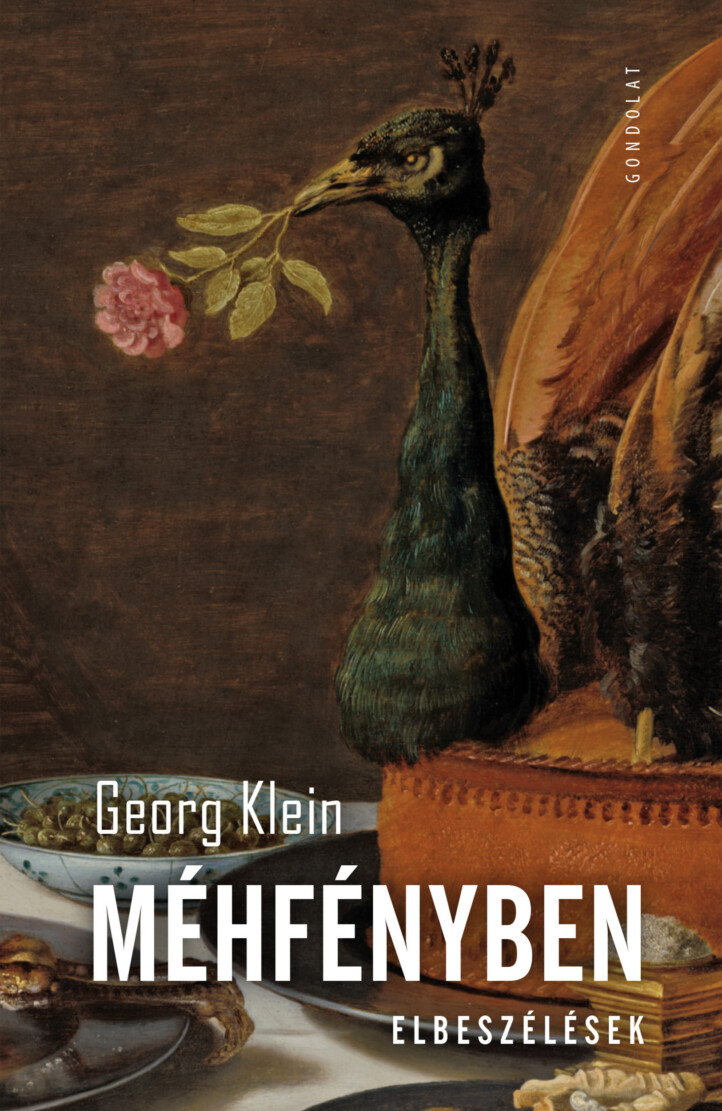 Méhfényben - Elbeszélések