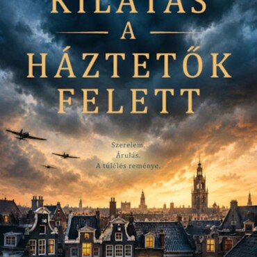 Kilátás A Háztetők Felett