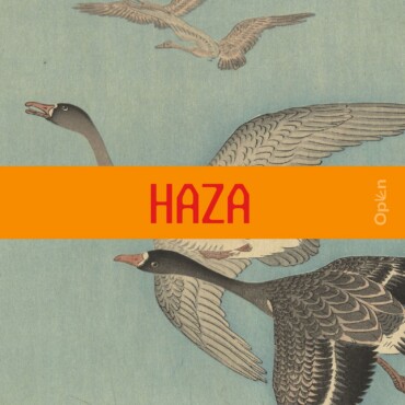 Haza - Fontos Dolgok