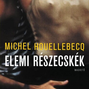 Elemi Részecskék