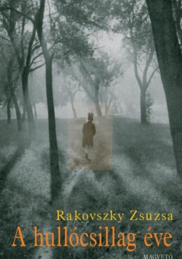 A Hullócsillag Éve