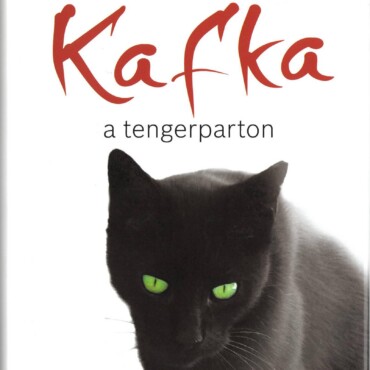 Kafka A Tengerparton