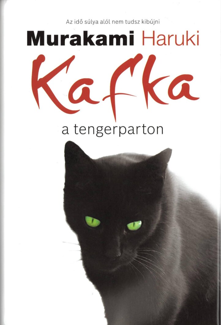 Kafka A Tengerparton